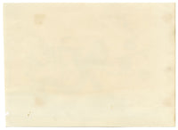 Antique 19th-century Chinese Pith Painting – Pair of Birds on Blossom Tree