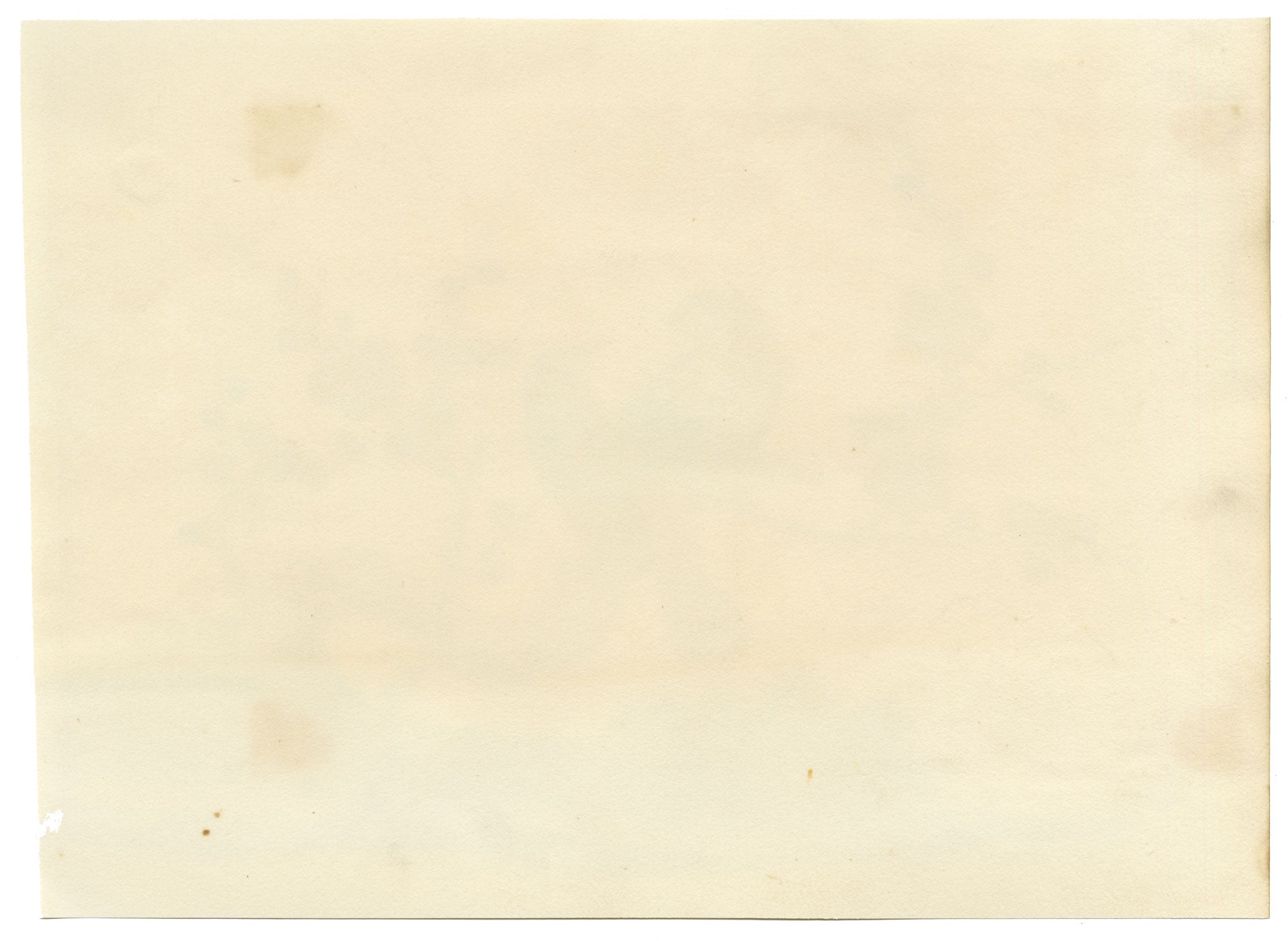 Antique 19th-century Chinese Pith Painting – Pair of Birds on Blossom Tree