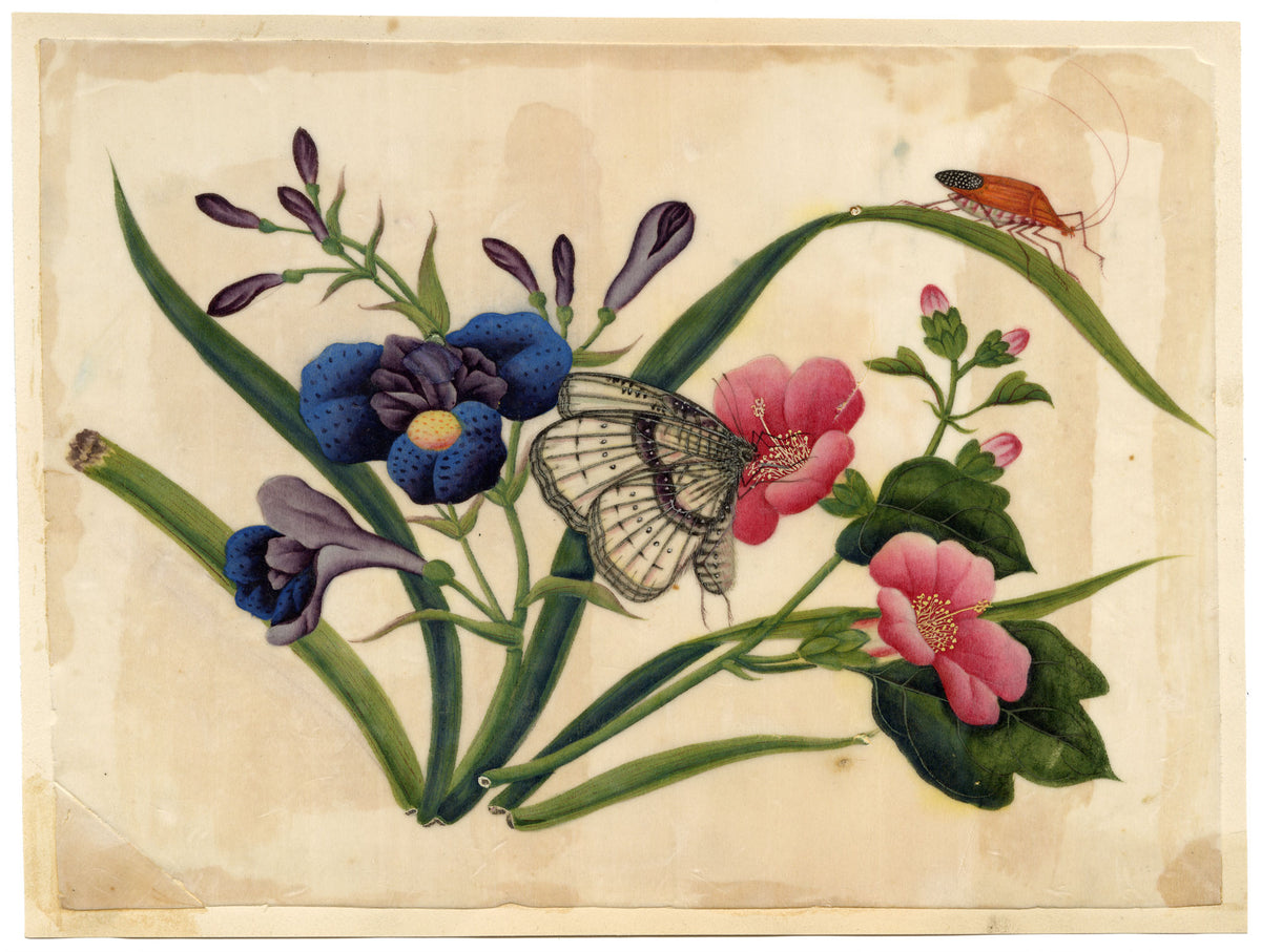 Antique 19th-century Chinese Pith Painting – Camellia & Iris Flowers with Butterfly & Insect