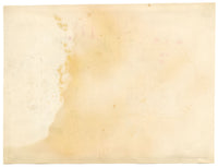 Antique 19th-century Chinese Pith Painting – Camellia & Iris Flowers with Butterfly & Insect