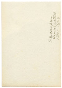 Rosa E. Neumann, Schwarzhorn, Dischmatal (Dischma Valley), Switzerland – 1899 watercolour painting