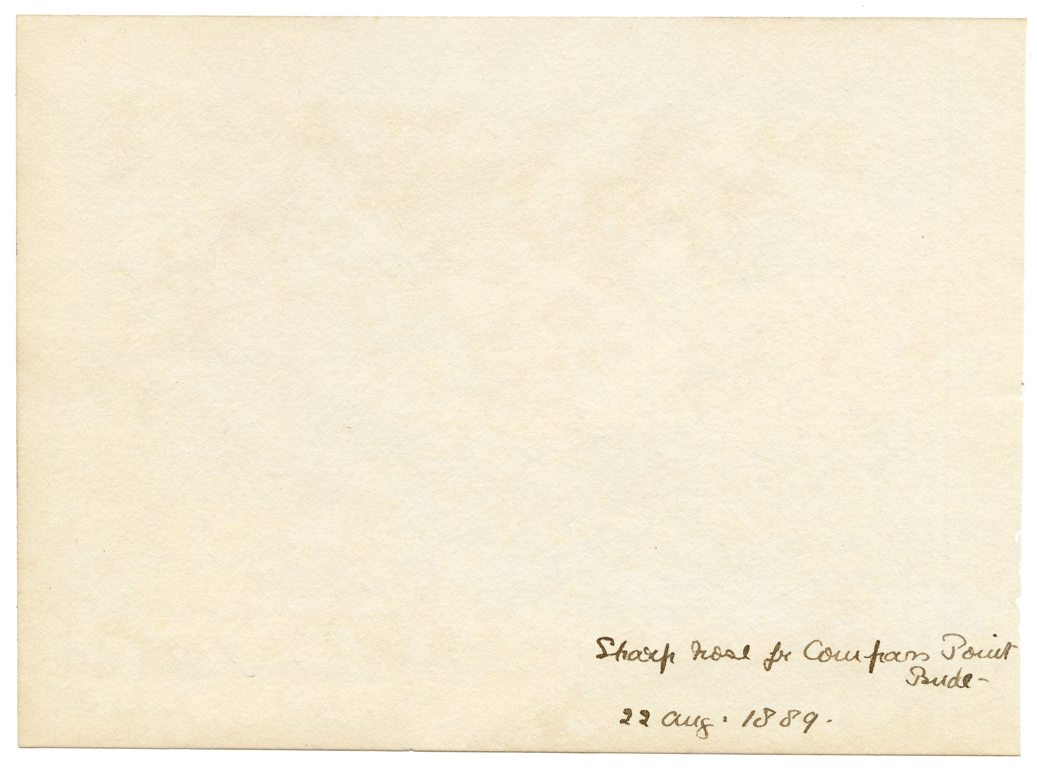 Rosa E. Neumann, Sharpnose from Storm Tower, Compass Point, Bude, Cornwall – 1889 watercolour painting