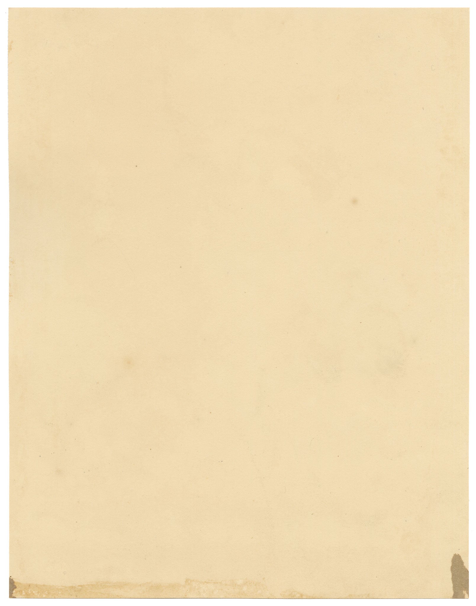 E.B.R., Pink Camellia Flower – 1836 watercolour painting