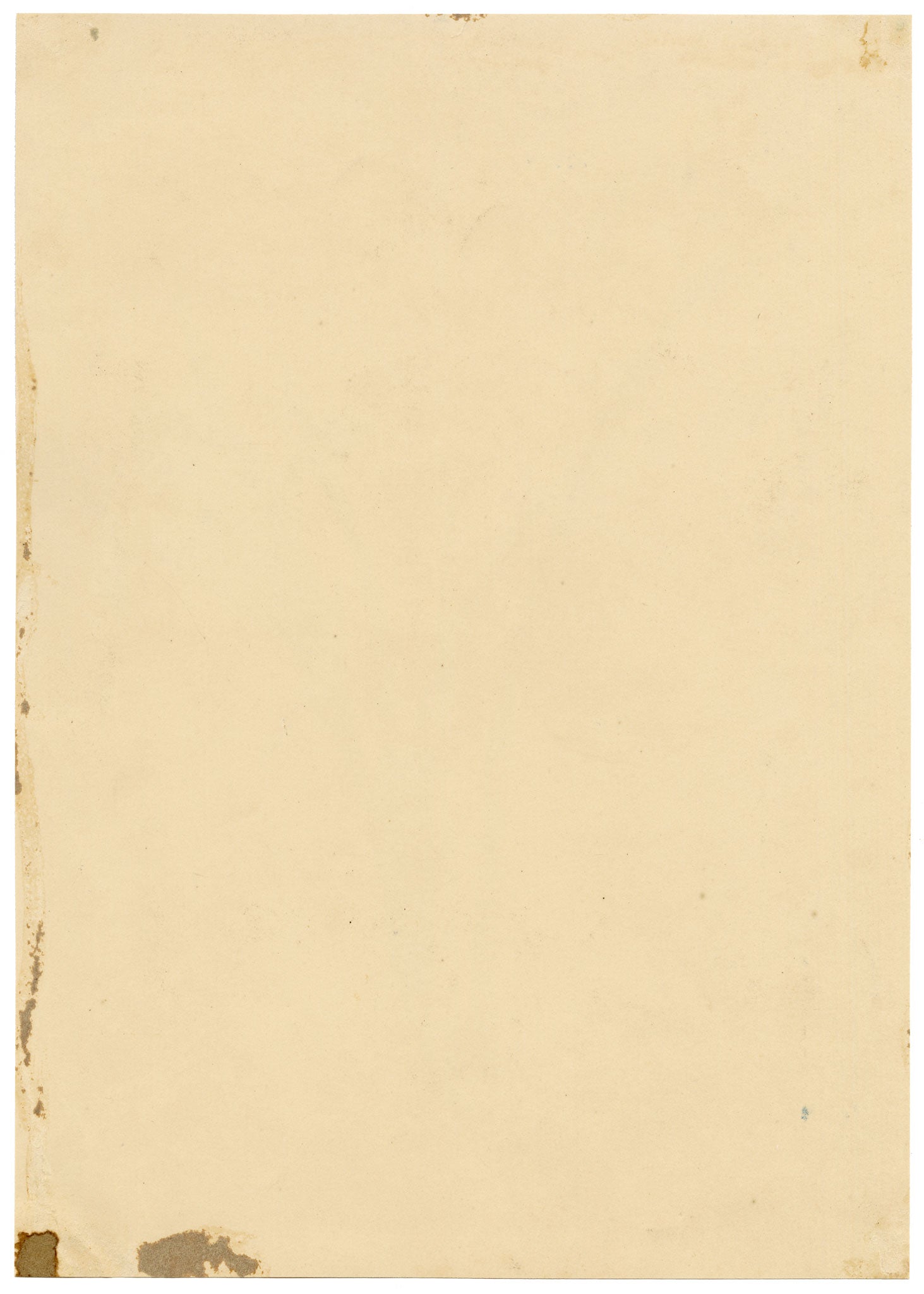 E.B.R., Iris Tuberosa Flower – 1841 watercolour painting