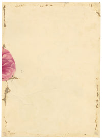 E.B.R., Strawberry saxifrage (Saxifraga stolonifera) Plant in Pot – 1834 watercolour painting