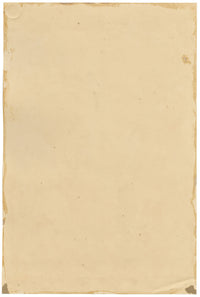 E.B.R., Jacobean Lily (Amaryllis Jacobia) Flower – 1835 watercolour painting