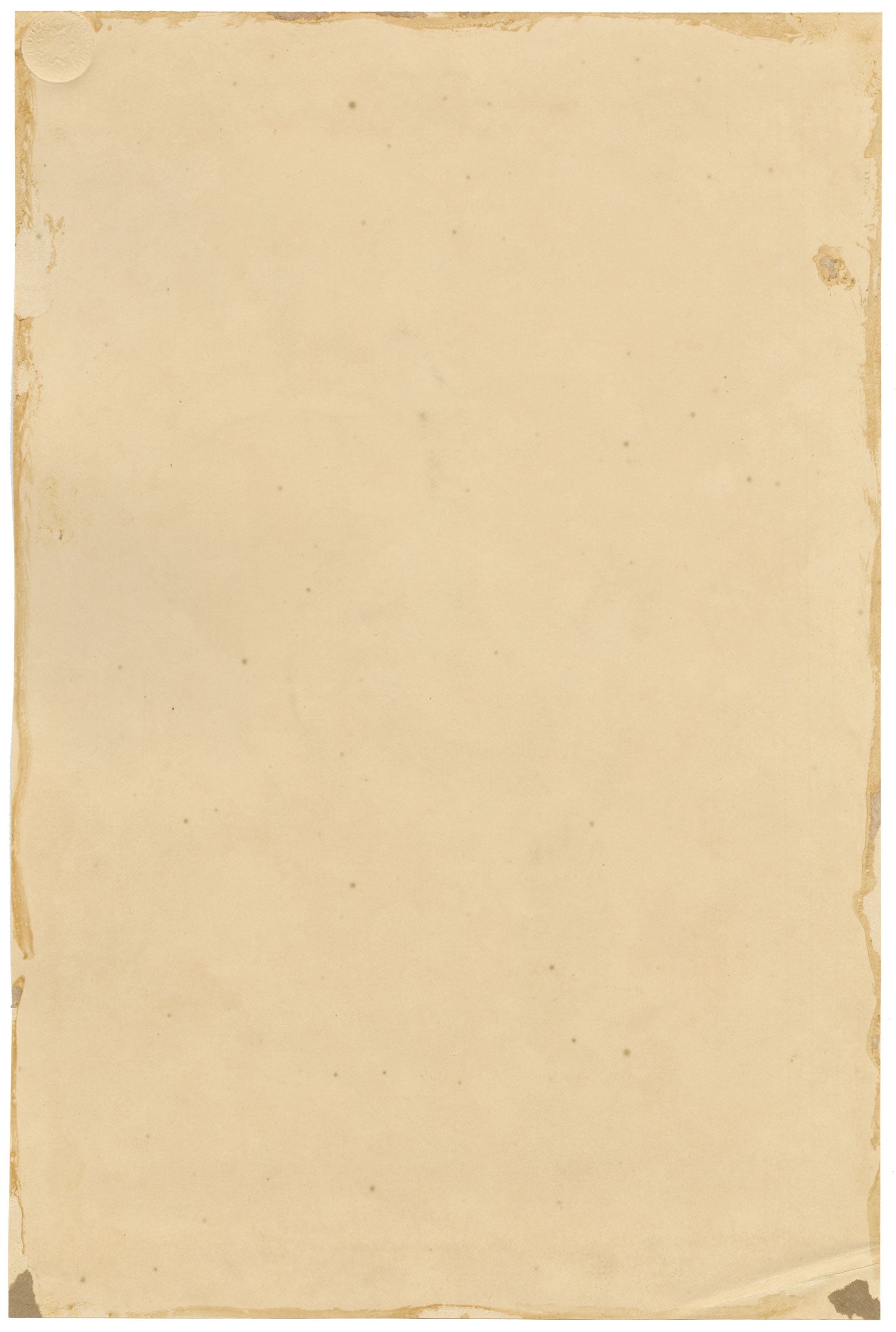 E.B.R., Jacobean Lily (Amaryllis Jacobia) Flower – 1835 watercolour painting