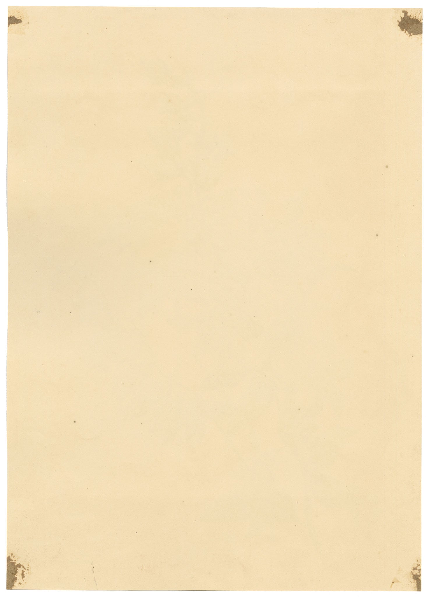 E.B.R., White & Purple Bellflowers (Campanula) – 1832 watercolour painting