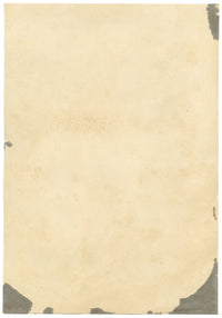 E.B.R., Pink Peony & Purple Iris Flowers – 1842 watercolour painting