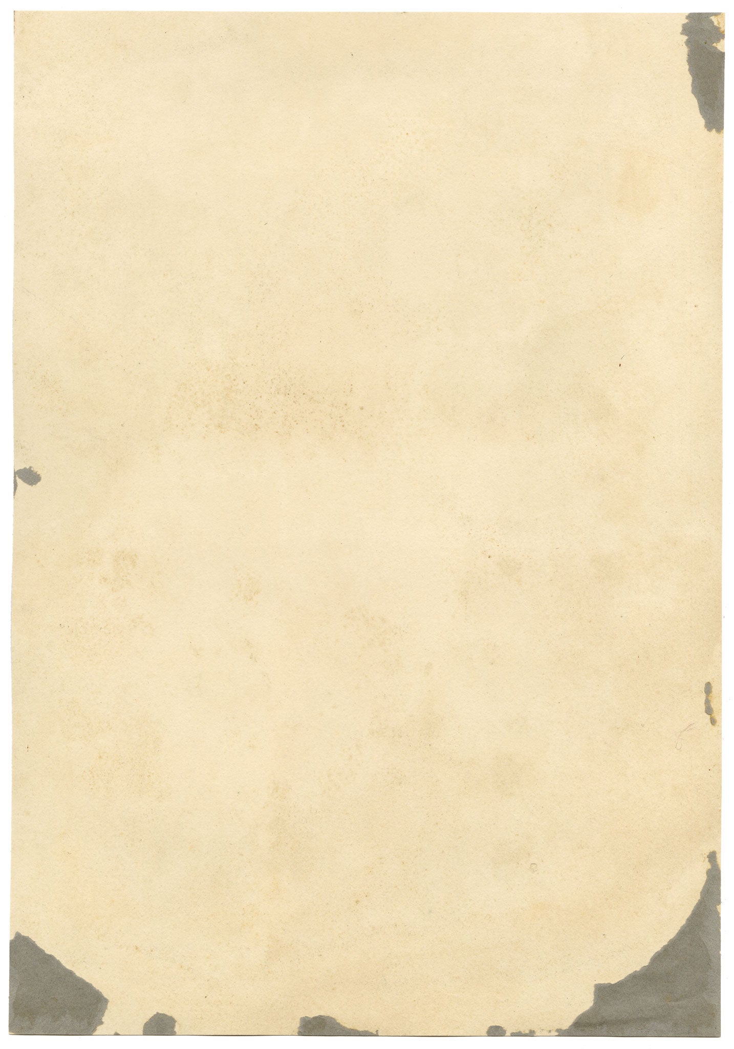 E.B.R., Pink Peony & Purple Iris Flowers – 1842 watercolour painting