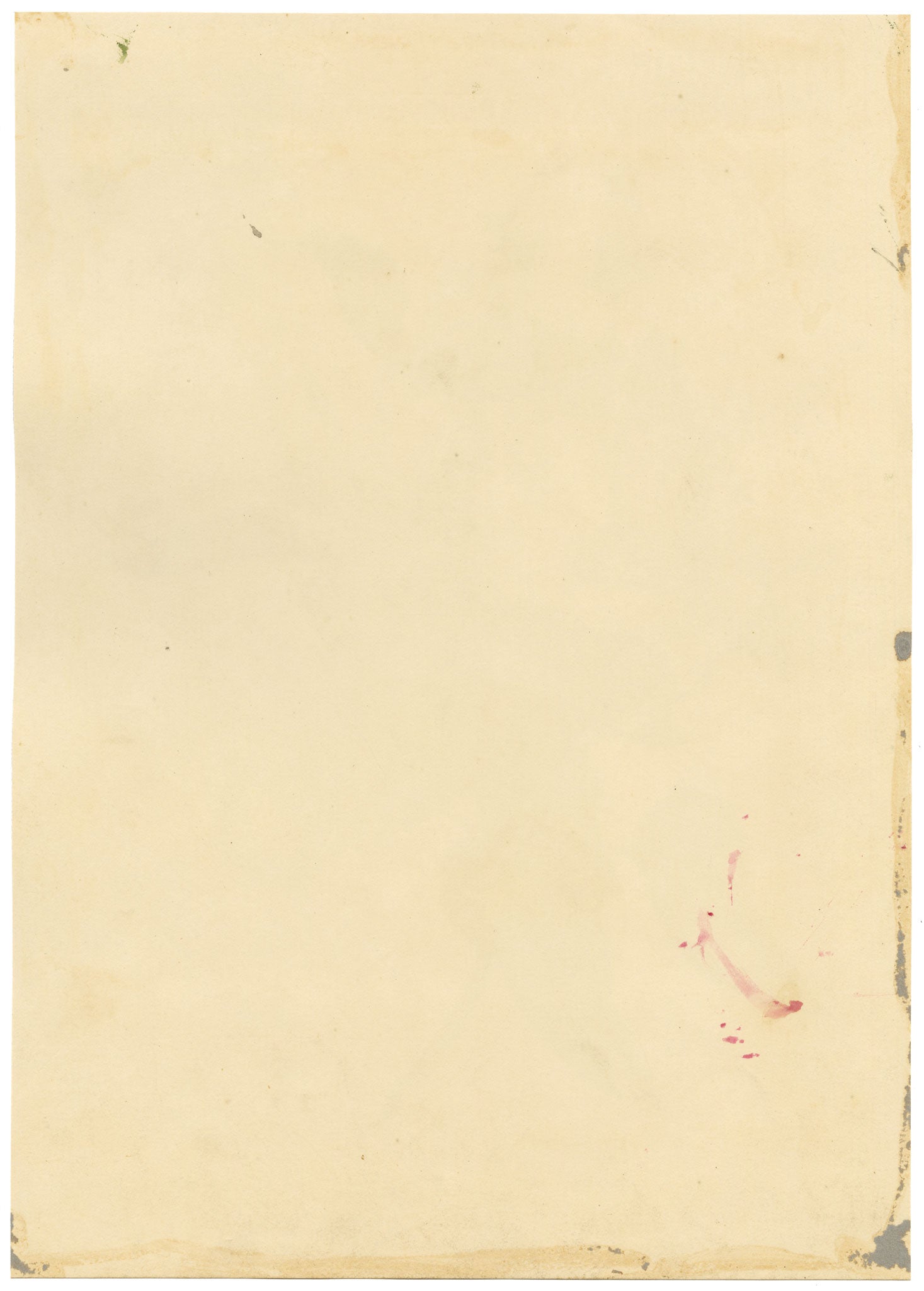 E.B.R., Pink & White Tree Mallow (Lavatera) Flower – 1833 watercolour painting