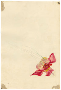 E.B.R., Dogwood Autumn Red Foliage Study – 1831 watercolour painting