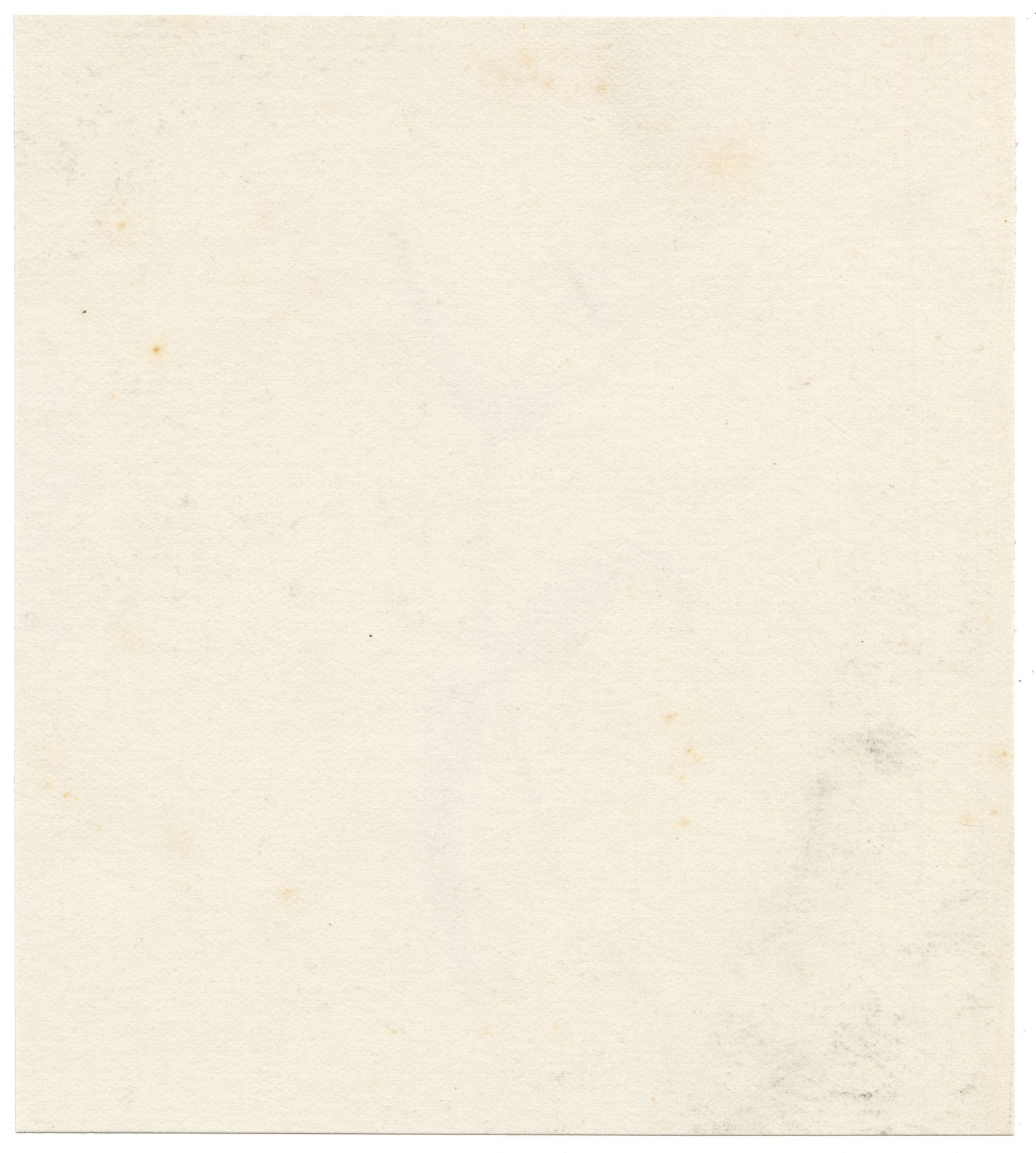 Anon., Common Cow-wheat (Melampyrum pratense) Flower – c.1889 watercolour painting