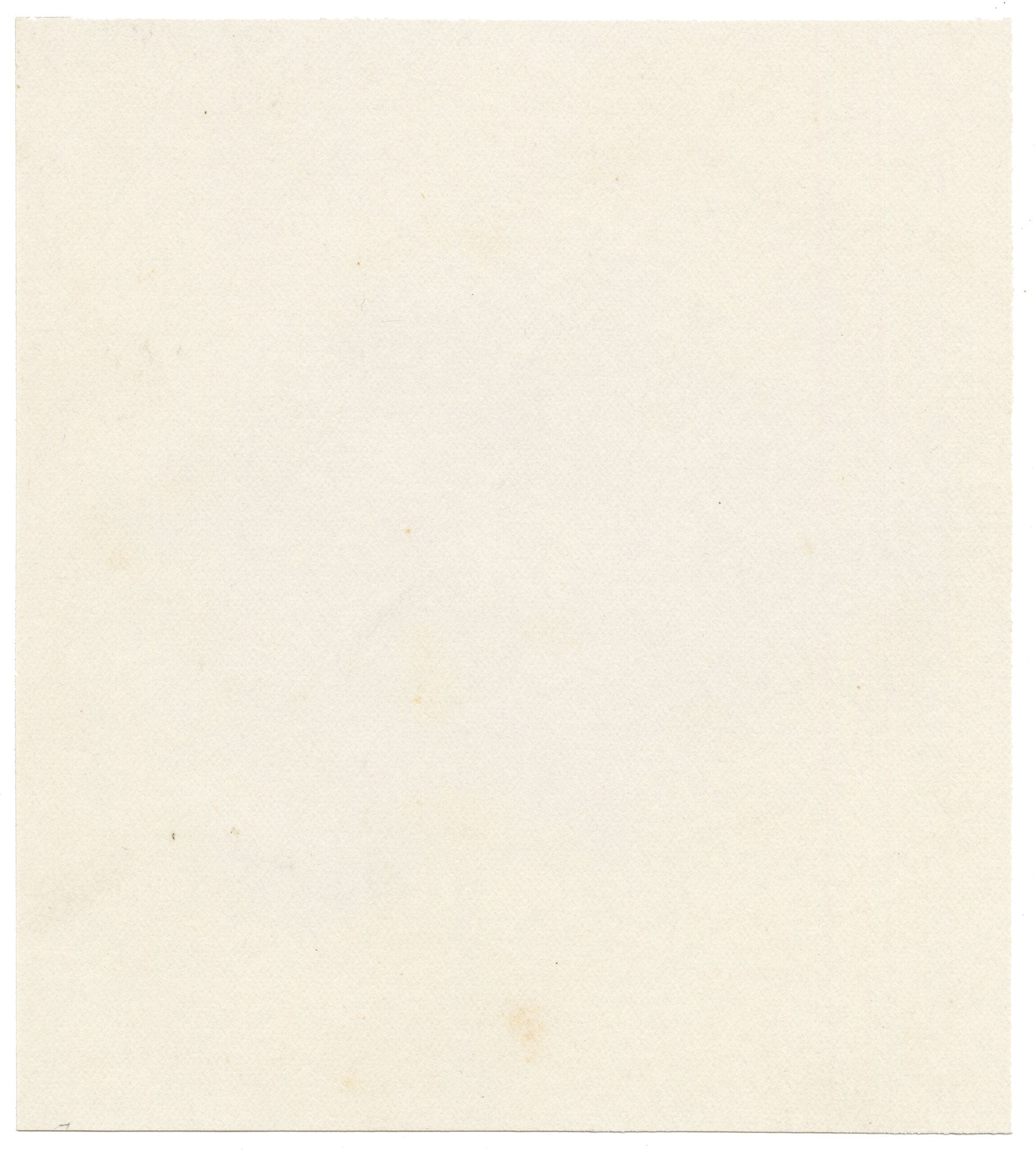 Anon., Common Fringe-myrtle (Calytrix tetragona) Flower, Australia – c.1886 watercolour painting