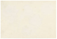 Anon., Anemone Flowers – c.1889 watercolour painting