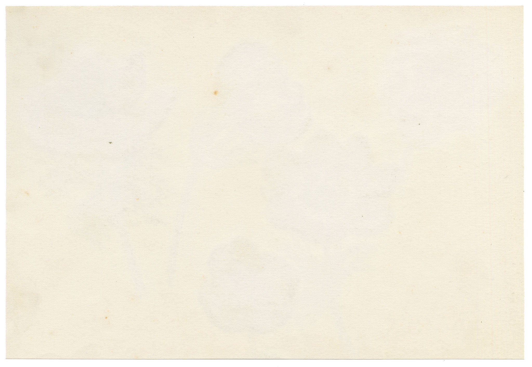 Anon., Anemone Flowers – c.1889 watercolour painting