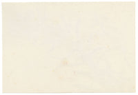 Anon., Euphorbia Plant & Blossom Sprig – c.1889 watercolour painting