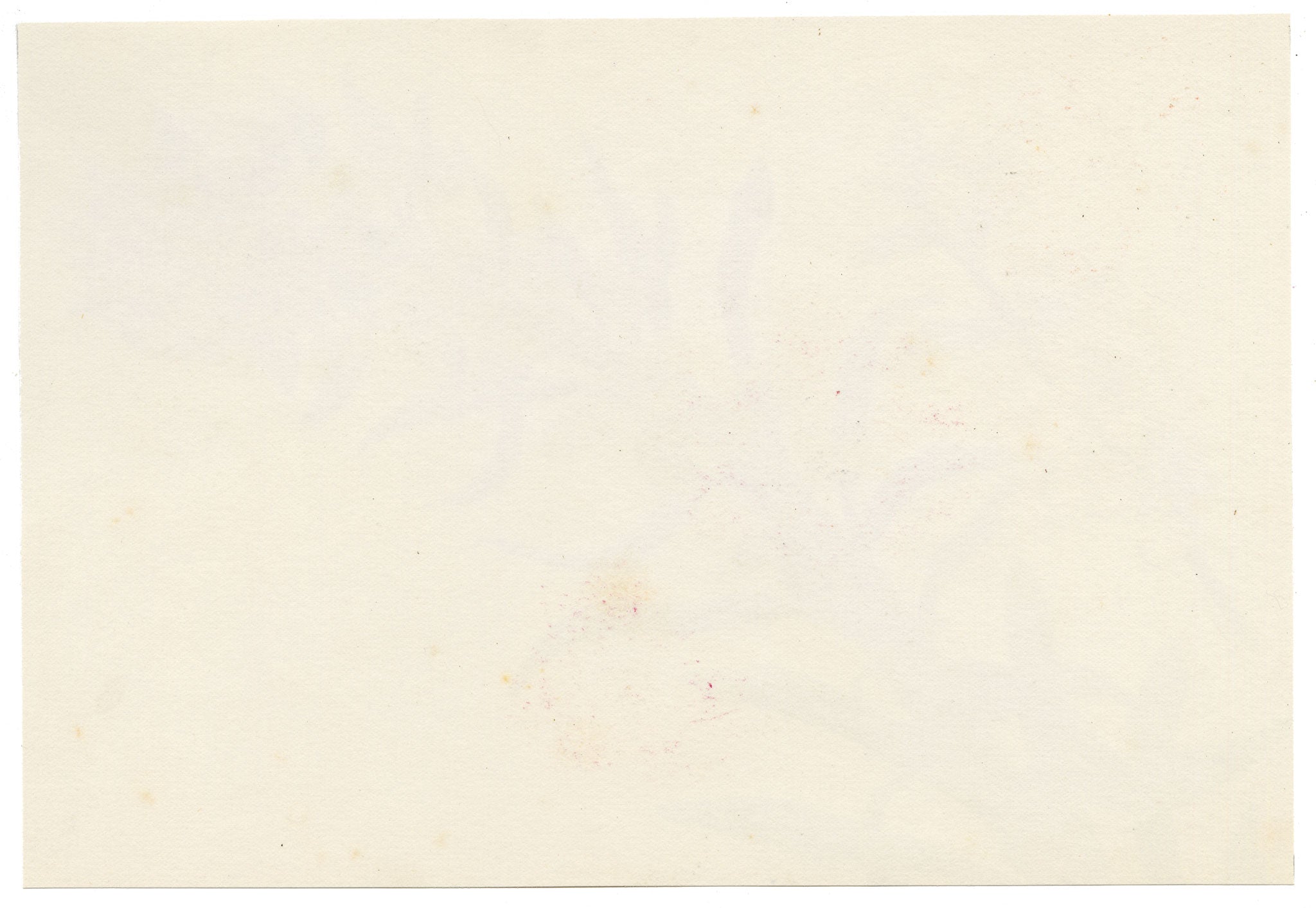 Anon., Euphorbia Plant & Blossom Sprig – c.1889 watercolour painting