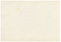 Anon., Magnolia, Water Canna Lily & Asiatic Dayflower (Commelina communis), Hong Kong – c.1889 watercolour painting