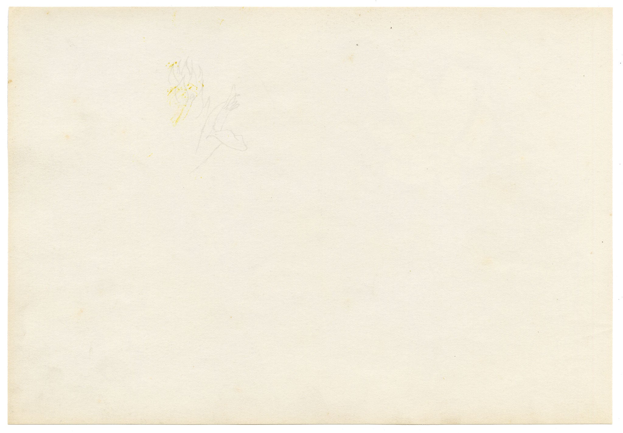 Anon., Magnolia, Water Canna Lily & Asiatic Dayflower (Commelina communis), Hong Kong – c.1889 watercolour painting