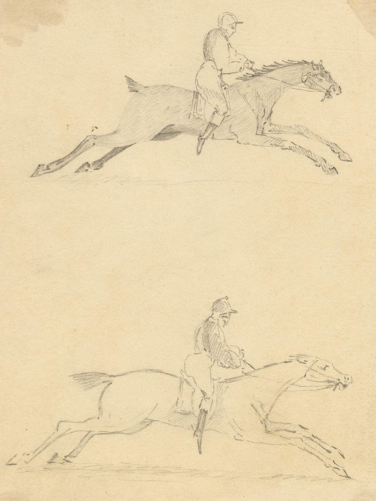 Anon., Equestrian Studies, Horse & Jockey – Mid-19th-century graphite drawing