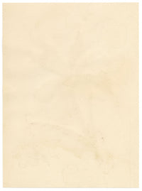 Anon., Indigo Iris Flower – Mid-19th-century watercolour painting
