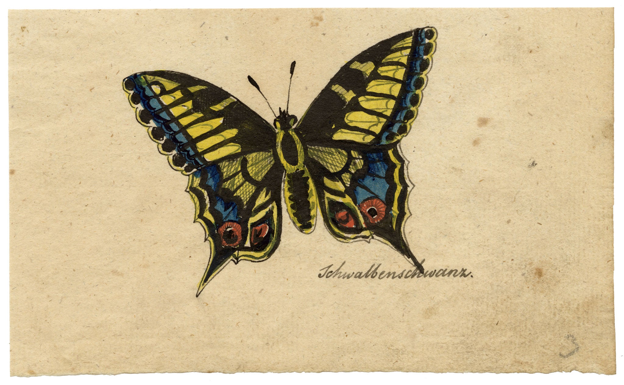 Leopold Billek, Swallowtail Butterfly Study 'Schwalbenschwanz' – c.1820 gouache painting