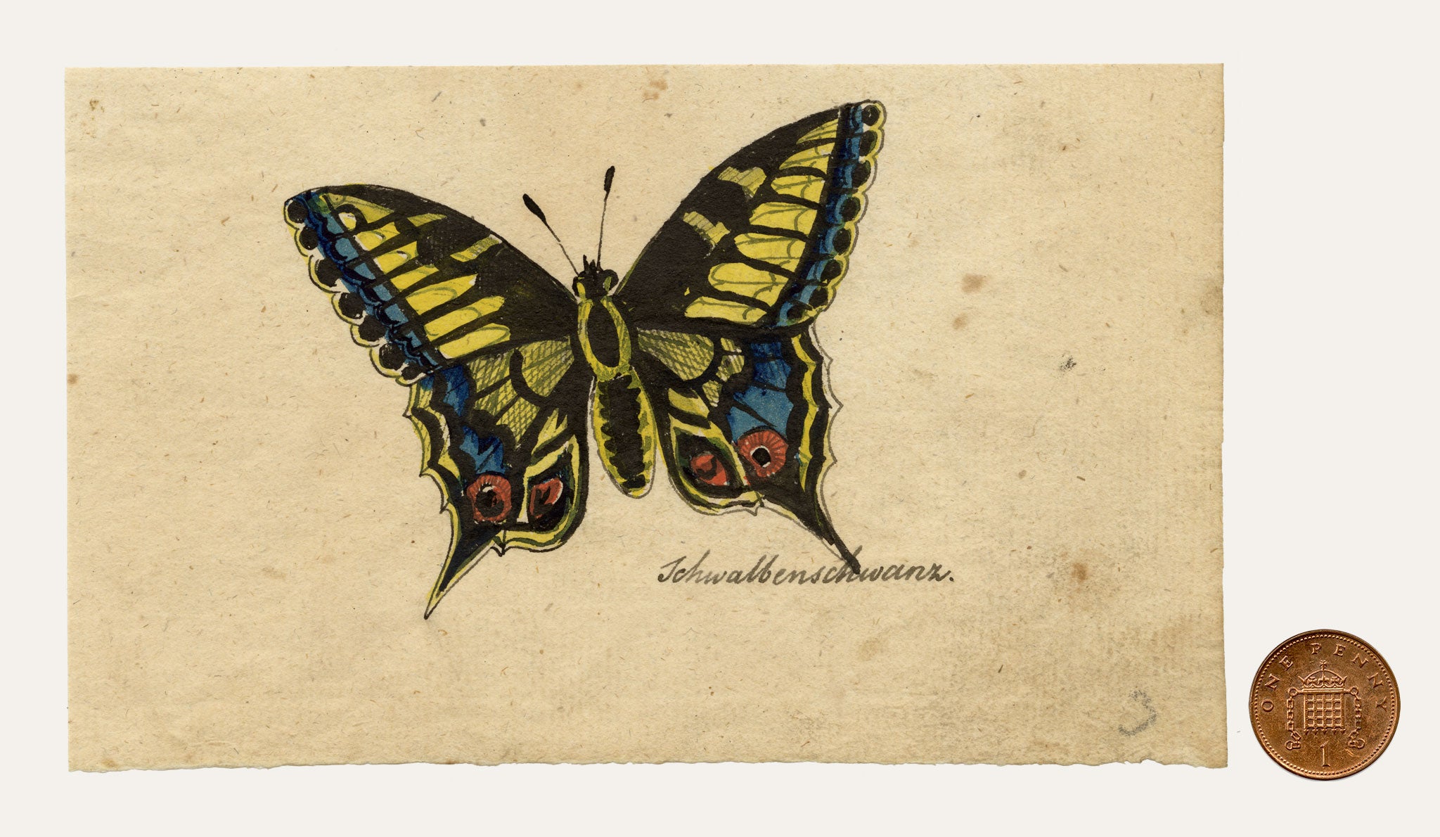 Leopold Billek, Swallowtail Butterfly Study 'Schwalbenschwanz' – c.1820 gouache painting