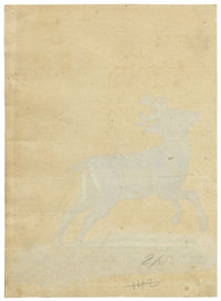 Leopold Billek, Young Red Deer Stag – c.1820 gouache painting