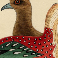 Indian Company School, Group of 8 Indian Bird Paintings in Watercolour – 1842, Mackintosh Provenance