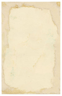 Pickford Robert Waller, Silver Birch Tree Study – c.1890s watercolour painting