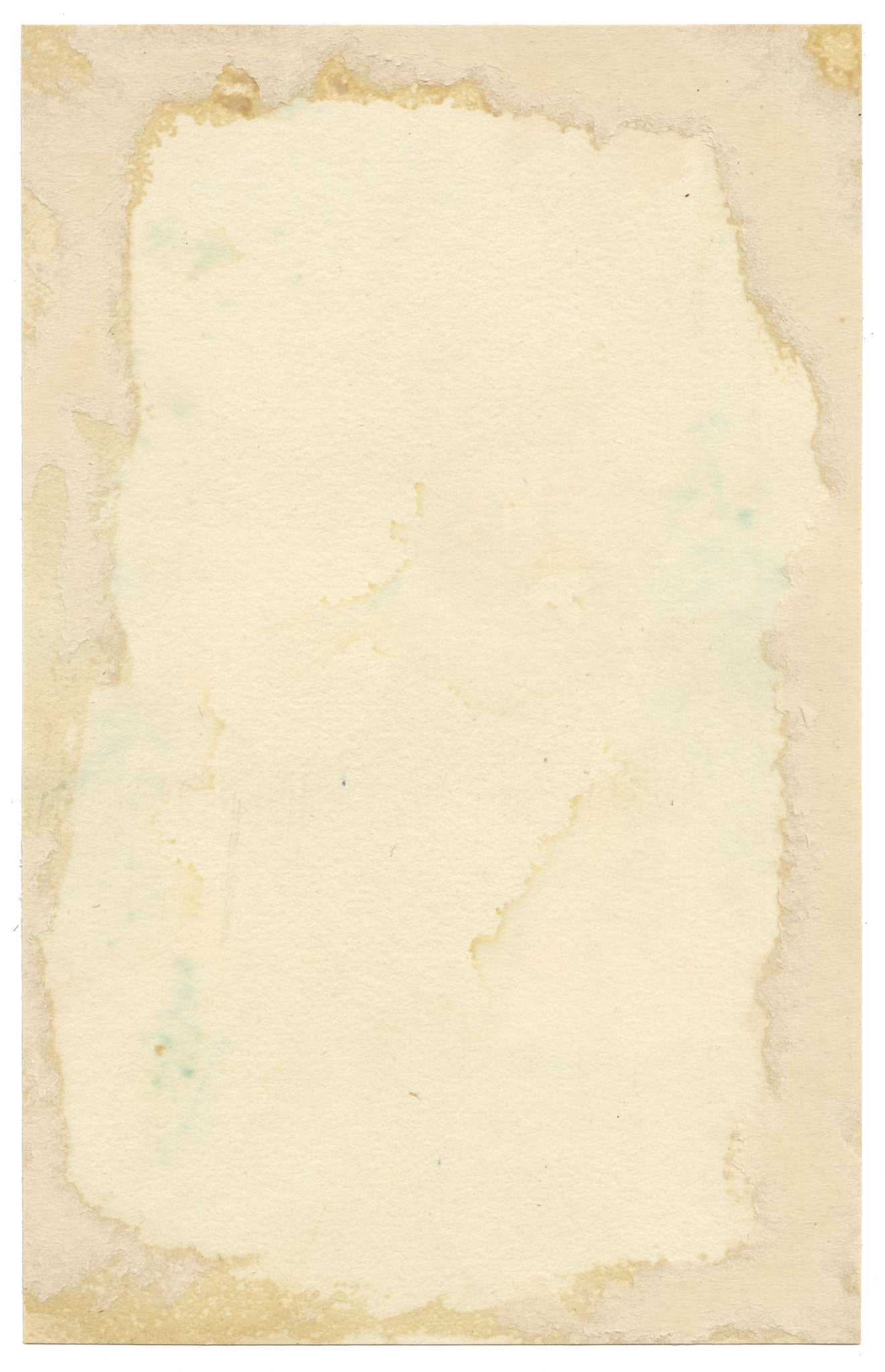 Pickford Robert Waller, Silver Birch Tree Study – c.1890s watercolour painting