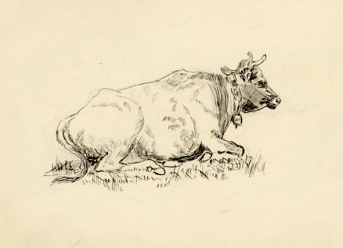 Pickford Robert Waller, Study of a Resting Cow with Bell – c.1890s pen & ink drawing