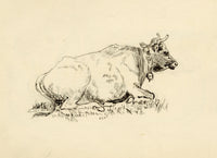 Pickford Robert Waller, Study of a Resting Cow with Bell – c.1890s pen & ink drawing
