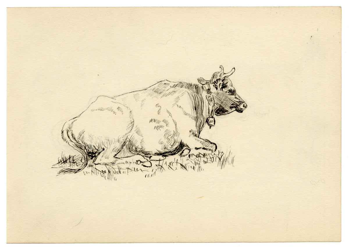 Pickford Robert Waller, Study of a Resting Cow with Bell – c.1890s pen & ink drawing