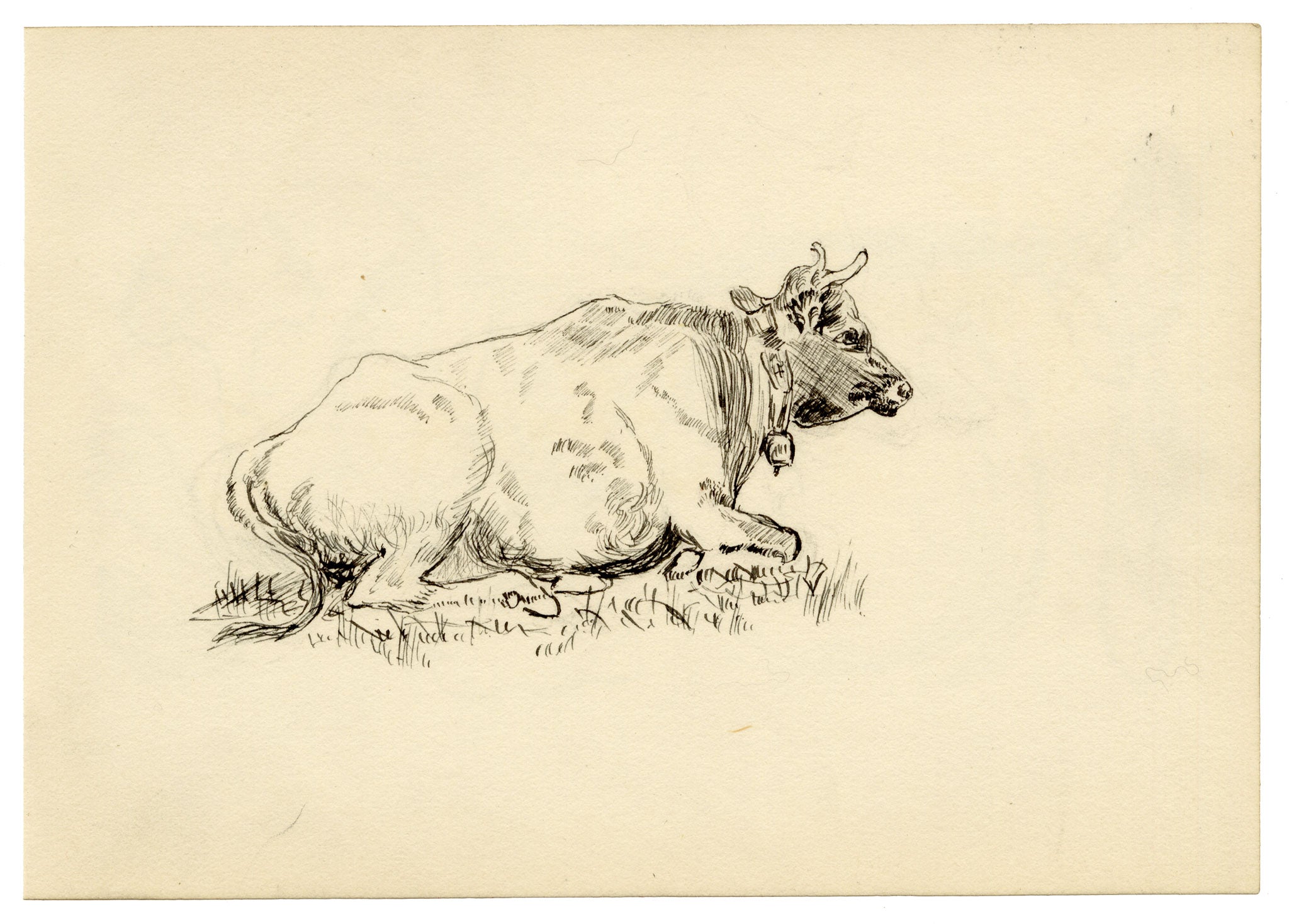Pickford Robert Waller, Study of a Resting Cow with Bell – c.1890s pen & ink drawing