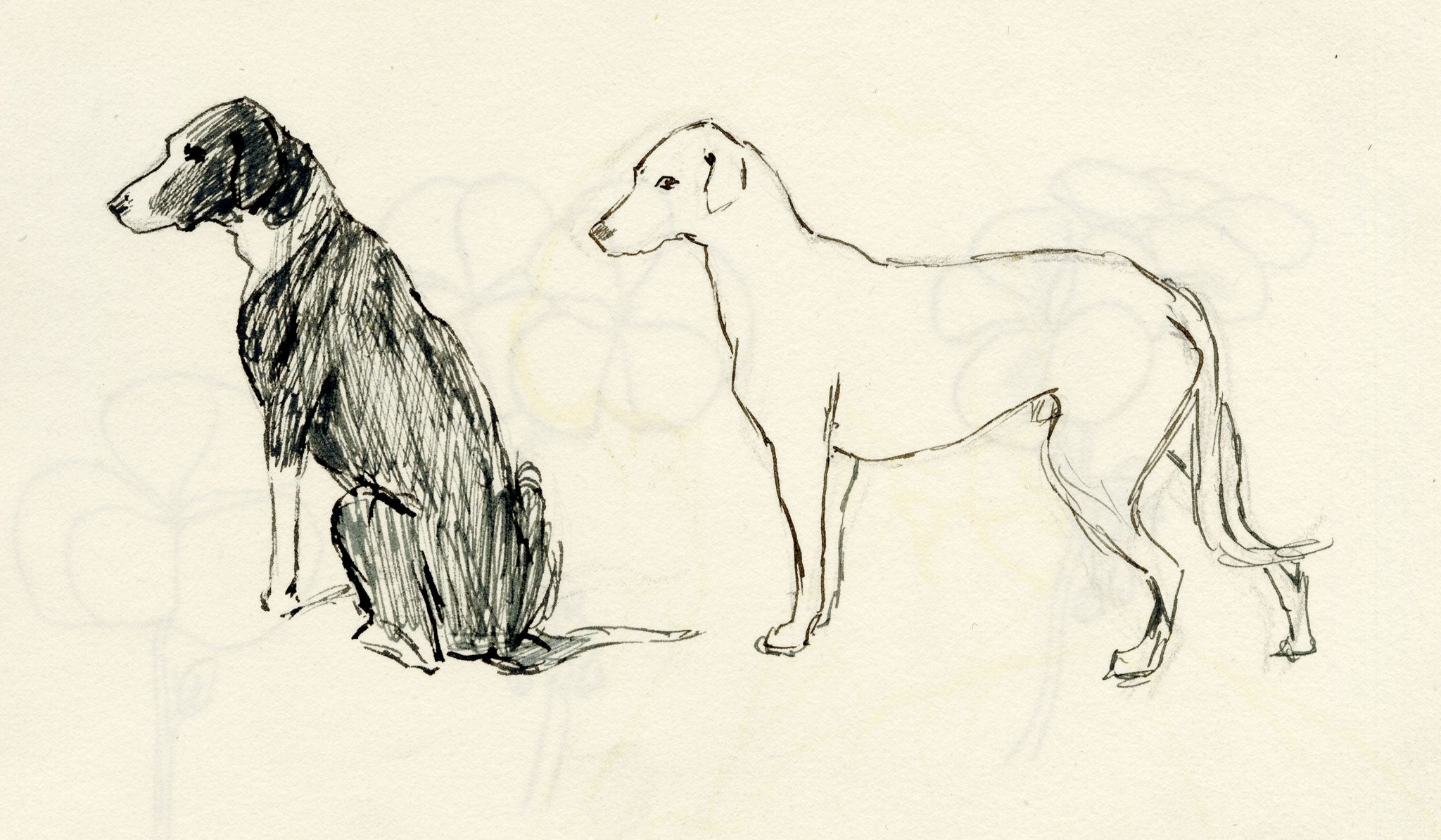 Pickford Robert Waller, Dog Studies – c.1890s pen & ink drawing