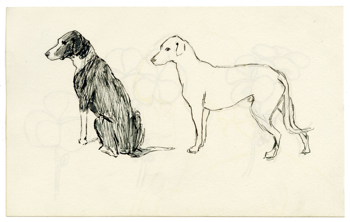Pickford Robert Waller, Dog Studies – c.1890s pen & ink drawing