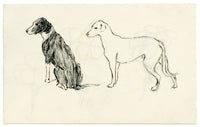 Pickford Robert Waller, Dog Studies – c.1890s pen & ink drawing