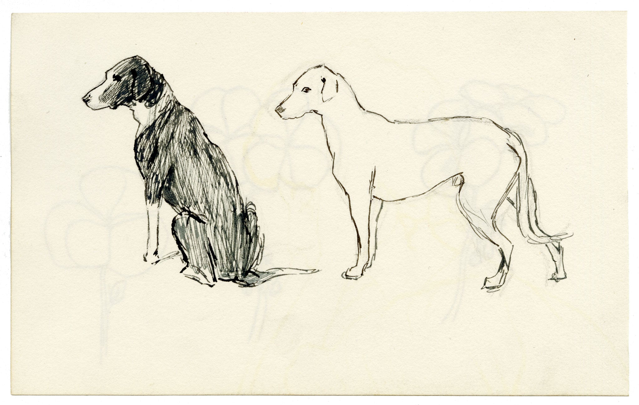 Pickford Robert Waller, Dog Studies – c.1890s pen & ink drawing
