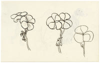 Pickford Robert Waller, Dog Studies – c.1890s pen & ink drawing