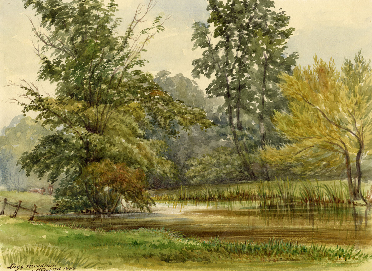 F. Bainbridge, Lugg Meadows, Herefordshire – 1884 watercolour painting