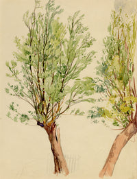 Eleanor Hughes RI, Tree Study – 1920 watercolour painting