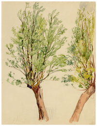 Eleanor Hughes RI, Tree Study – 1920 watercolour painting