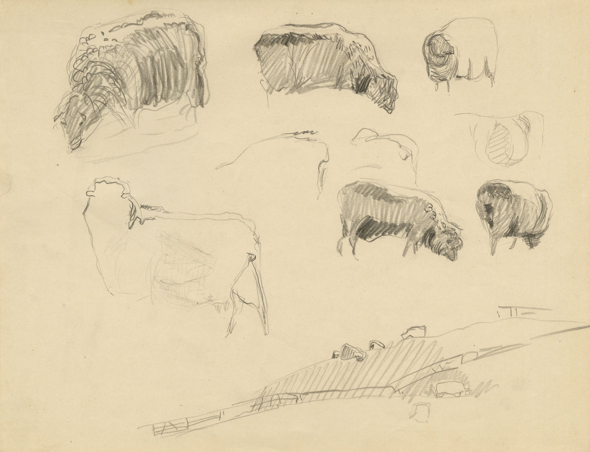 Eleanor Hughes RI, Sheep Studies – 1920 graphite drawing