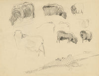 Eleanor Hughes RI, Sheep Studies – 1920 graphite drawing