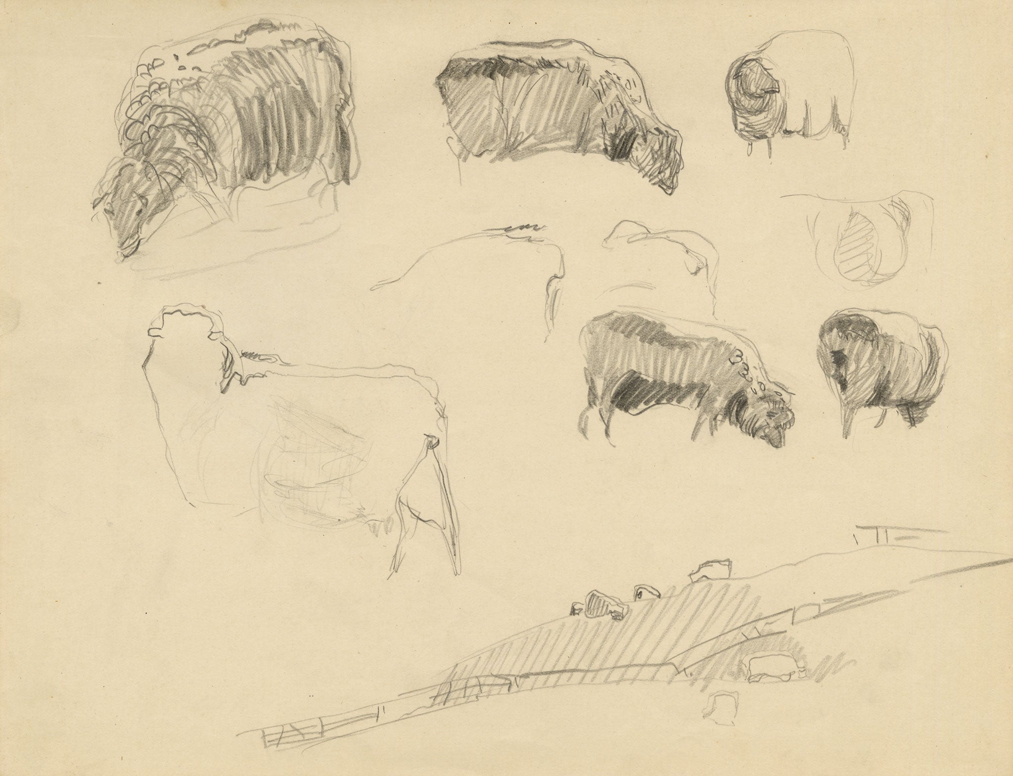 Eleanor Hughes RI, Sheep Studies – 1920 graphite drawing