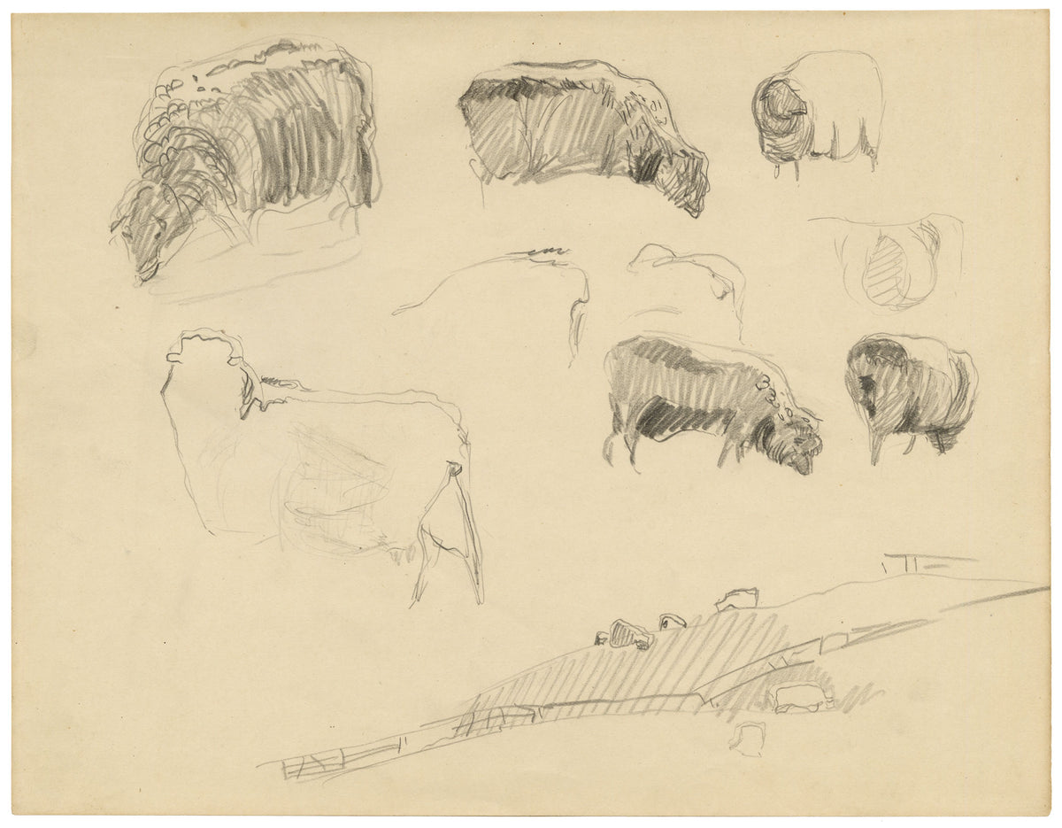 Eleanor Hughes RI, Sheep Studies – 1920 graphite drawing
