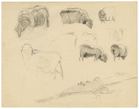 Eleanor Hughes RI, Sheep Studies – 1920 graphite drawing