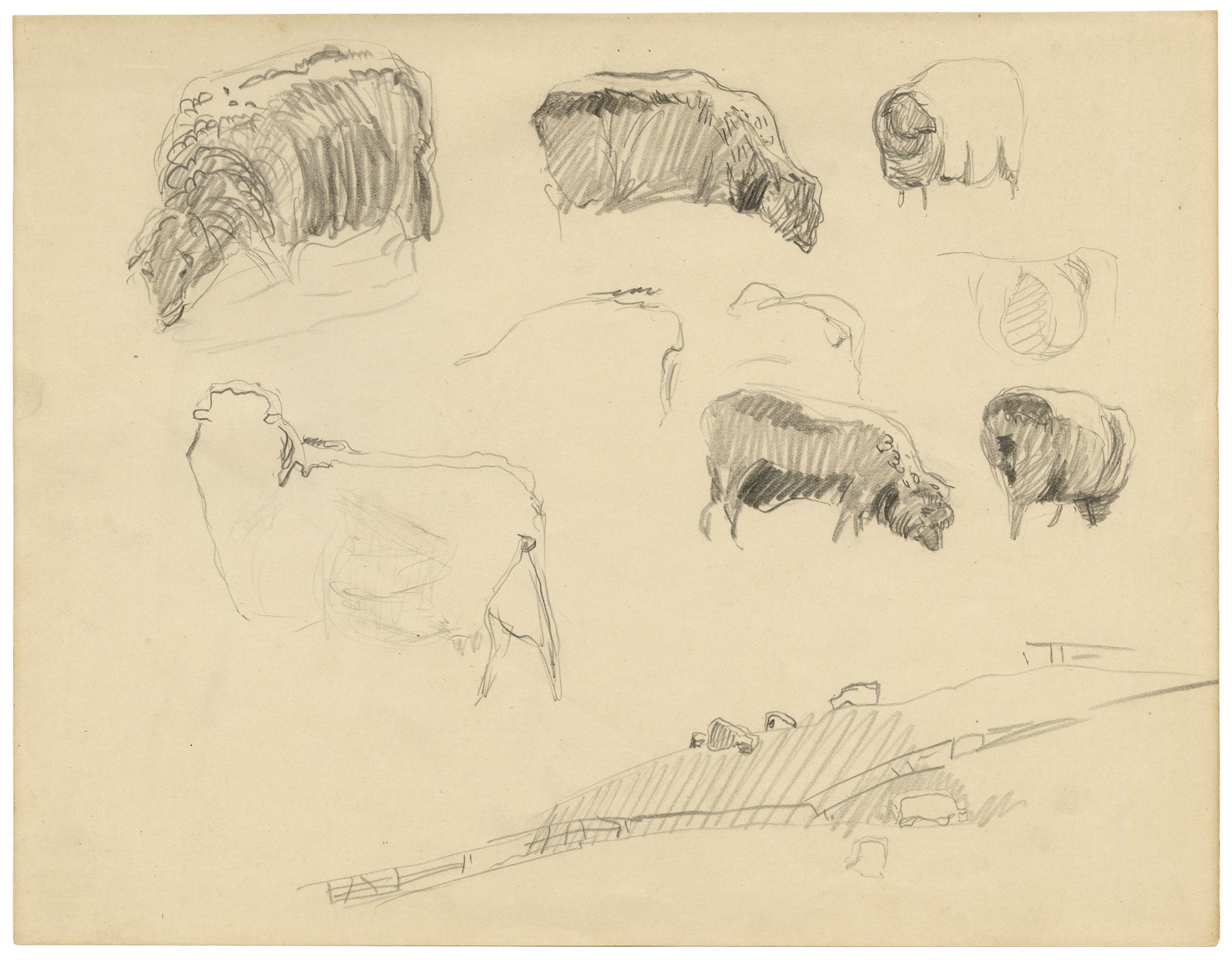 Eleanor Hughes RI, Sheep Studies – 1920 graphite drawing